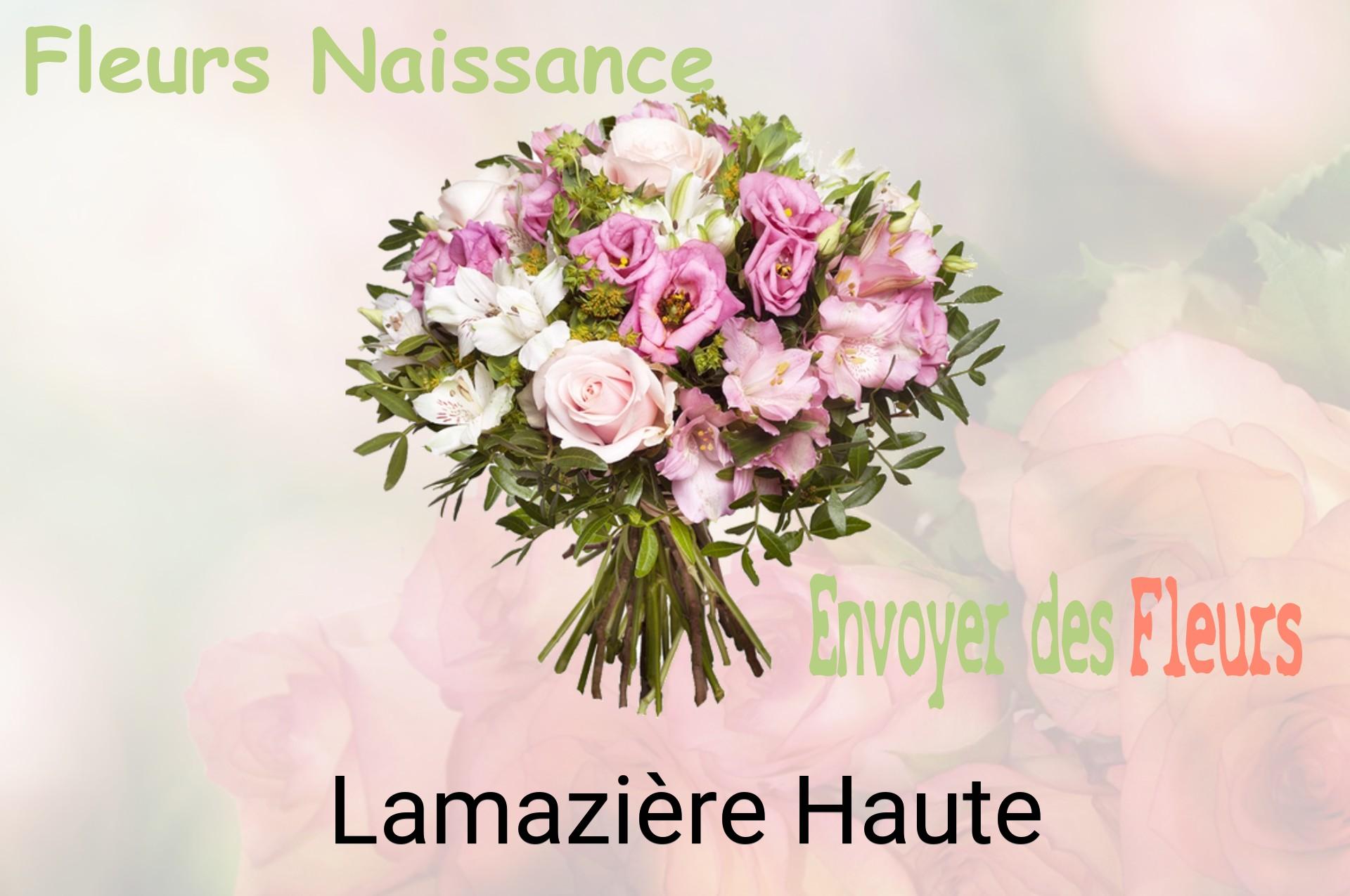 Bouquet de fleurs de naissance livré à Lamazière-Haute