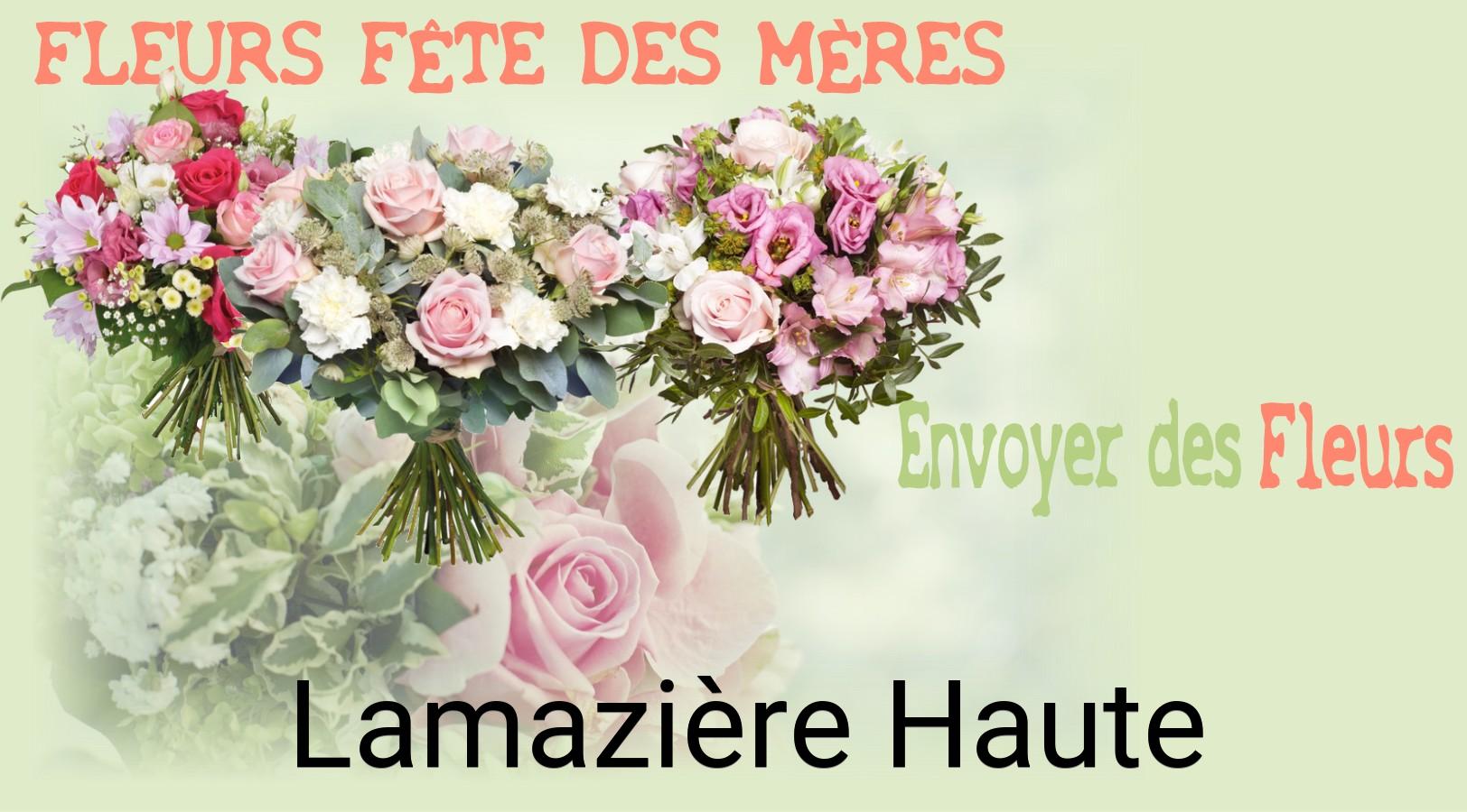 Bouquet de Fête des Mères livré à Lamazière-Haute